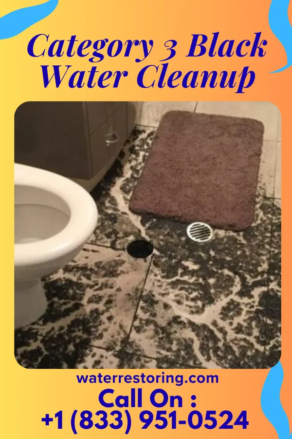 Category 3 Black Water Cleanup in Blanchester, OH