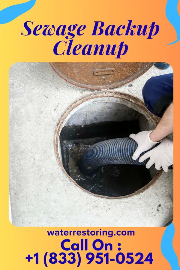 Sewage Backup Cleanup in Blanchester, OH